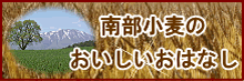 �암���������������͂Ȃ�