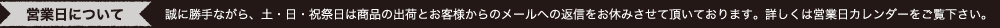 営業日について：誠に勝手ながら、土・日・祝祭日は商品の出荷とお客様からのメールへの返信をお休みさせて頂いております。詳しくは営業日カレンダーをご覧下さい。