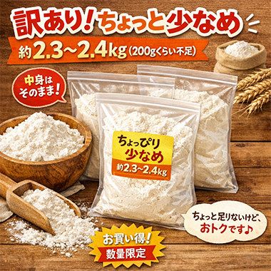 �󂠂�i�i�ʖڕs���j�������@��2.3����