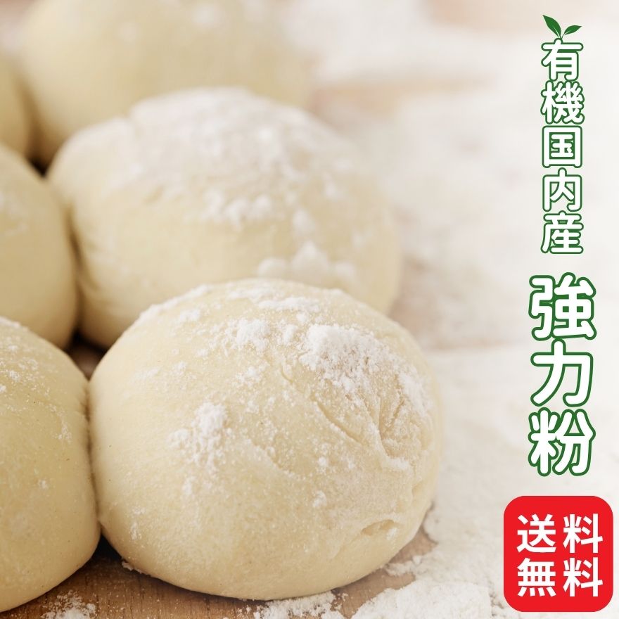 �����{ �L�@�����Y���͕� �Q�Tkg