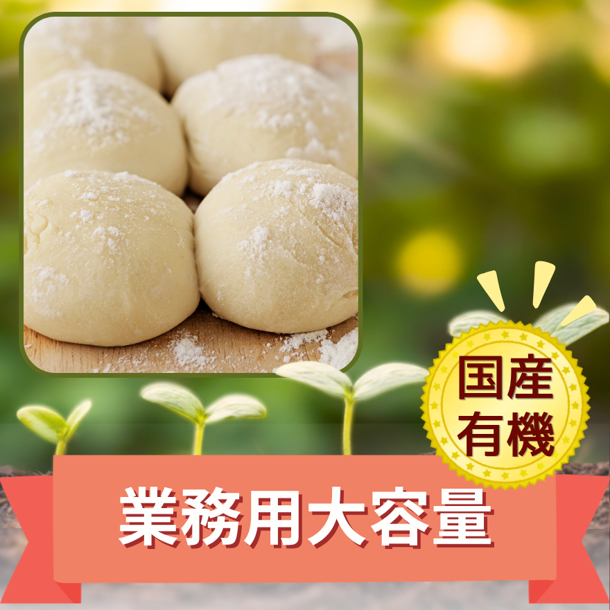 �����{ �L�@�����Y���͕� �Q�Tkg