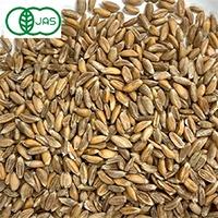 ドイツ産 有機エンマー小麦 玄麦（丸粒） 1kg 古代種
